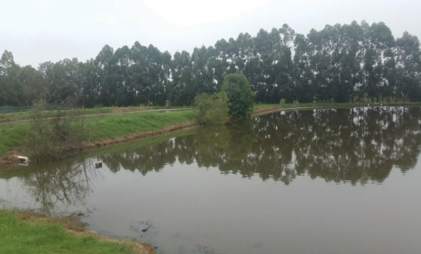 Laguna 3