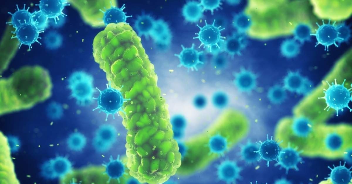 bacterias